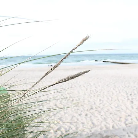 Apartamento Strandhafer V4w2 *